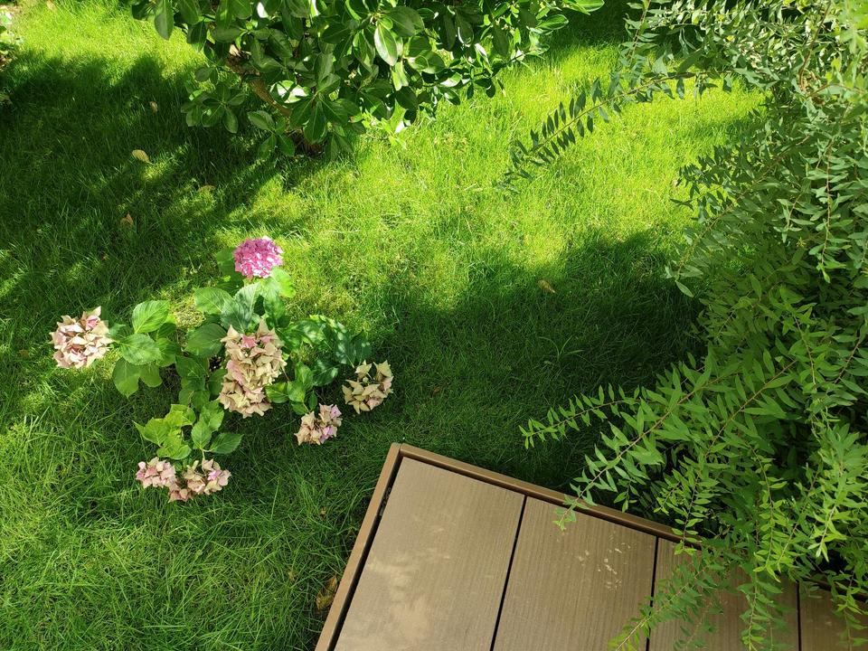 Thumbnail-Wohnung mit kleinem Garten (Untermiete)