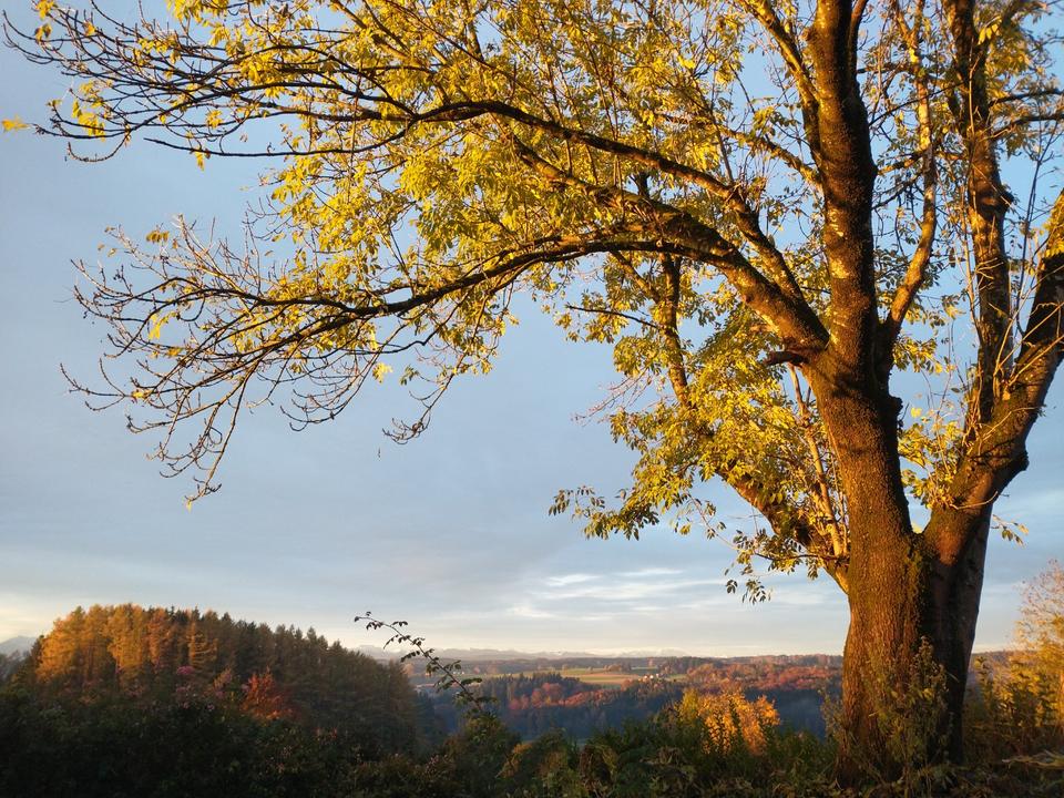 Thumbnail-Kleines Haus zu vermieten