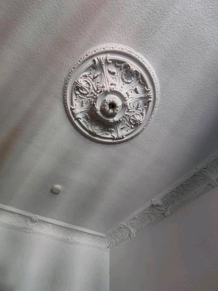 Thumbnail-Zimmer frei in großer zentraler Altbauwohnung