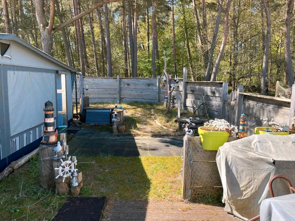 Thumbnail-Stellplatz mit Wohnwagen in Prerow zu vermieten