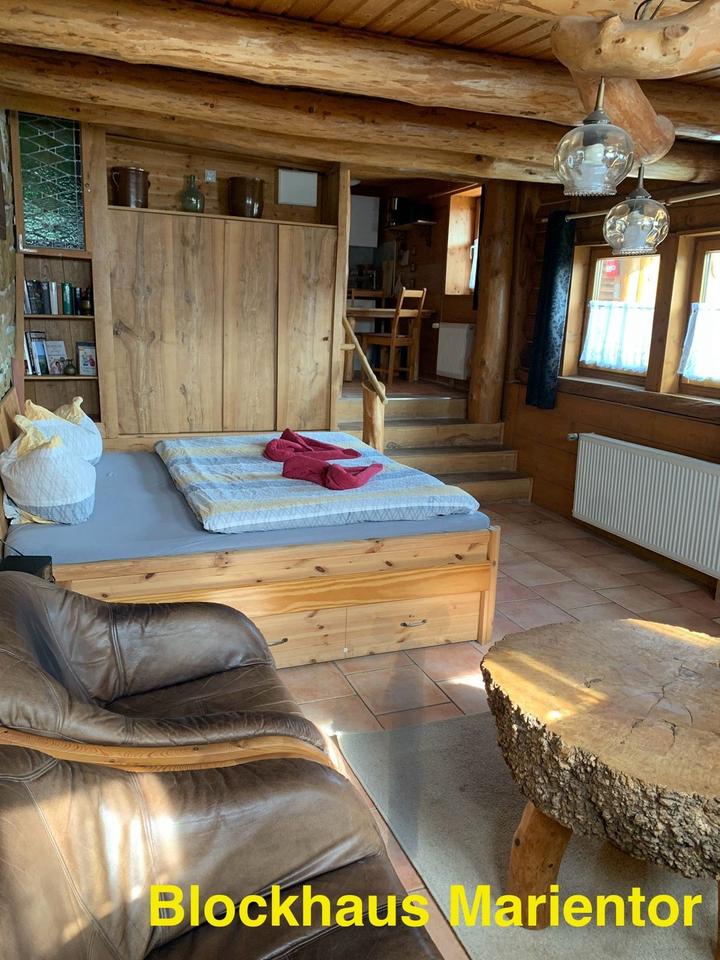 Thumbnail-☀️ Blockhaus für 2 mit Sauna Quedlinburg Harz Ferienhaus ☀️