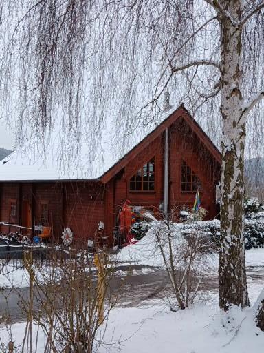 Thumbnail-modernes energieeffizientes Wohnhaus im Blockhausstil