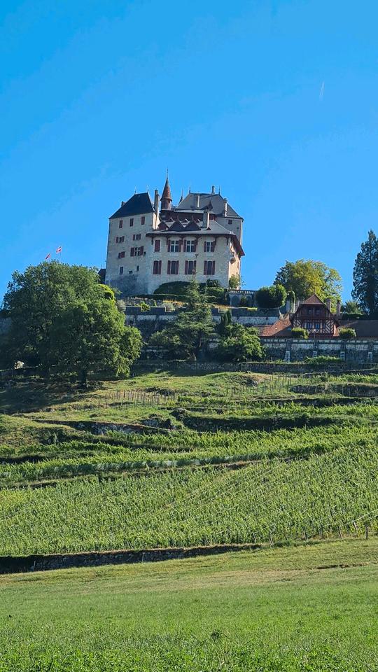Thumbnail-Traum(ferien)Wohnung 50 km von GENF