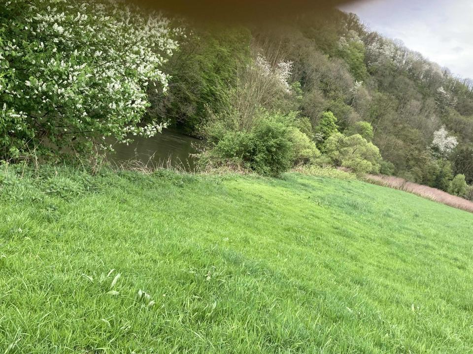 Thumbnail-Grundstück-evtl. für Anglerfreunde, direkt an der Sieg