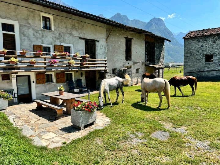 Thumbnail-Urlaub in der Ruhe der Natur – Casa vacanze L’Èef Cacina