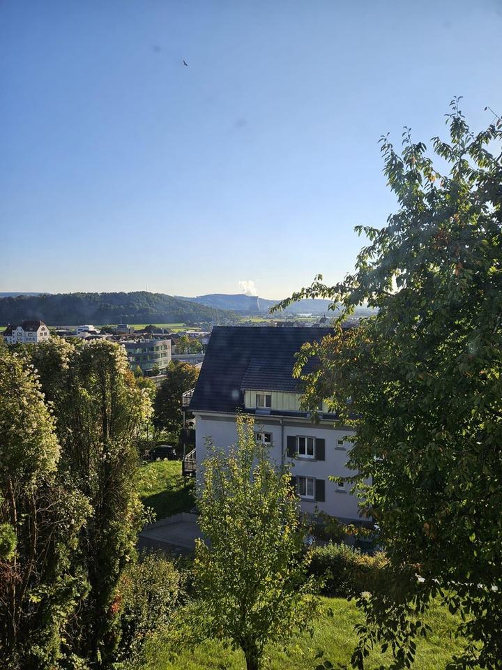 Thumbnail-(3) Renovierte, zentrale 1-Zi. Whg. mit schöner Aussicht über Waldshut