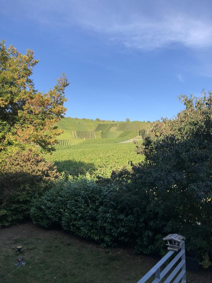 Thumbnail-TOP - Großheppach, Maisonette 5-Zi.-Whg. evtl. für Home Office mit EBK, Geschmack und Aussicht!