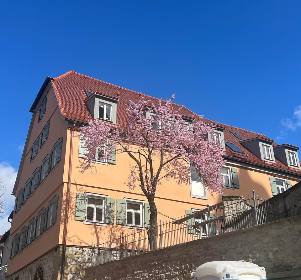 Thumbnail-Zauberhafte Wohnung im Alten Schulhaus, OG, Balkon und EBK