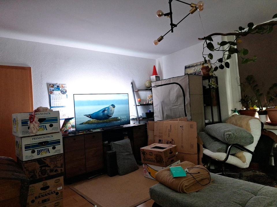 Thumbnail-2 Raum Wohnung