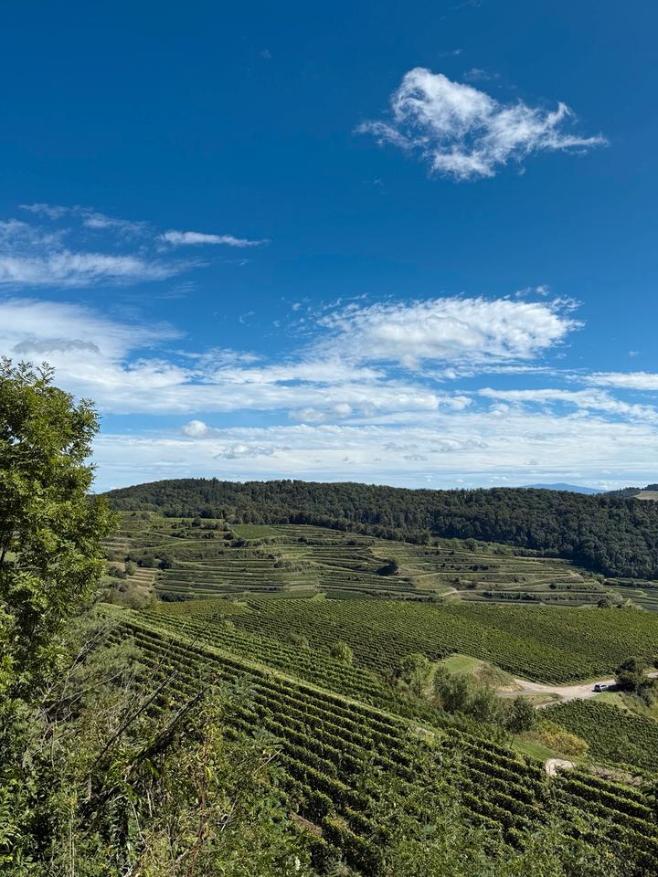 Thumbnail-Wohnung in Endingen im April zu vermieten
