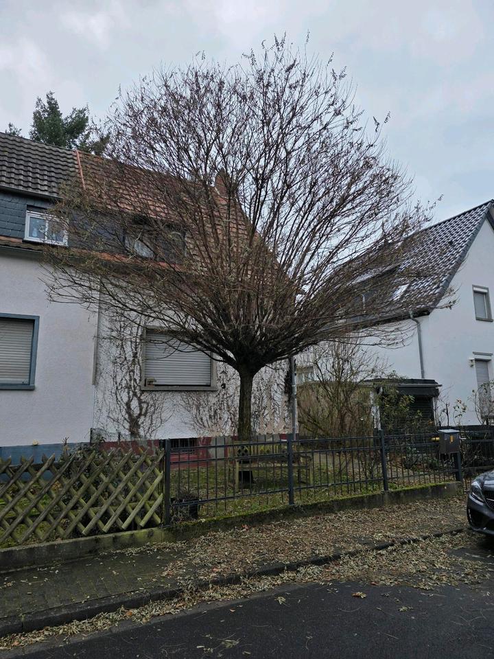 Thumbnail-Doppelhaushälfte