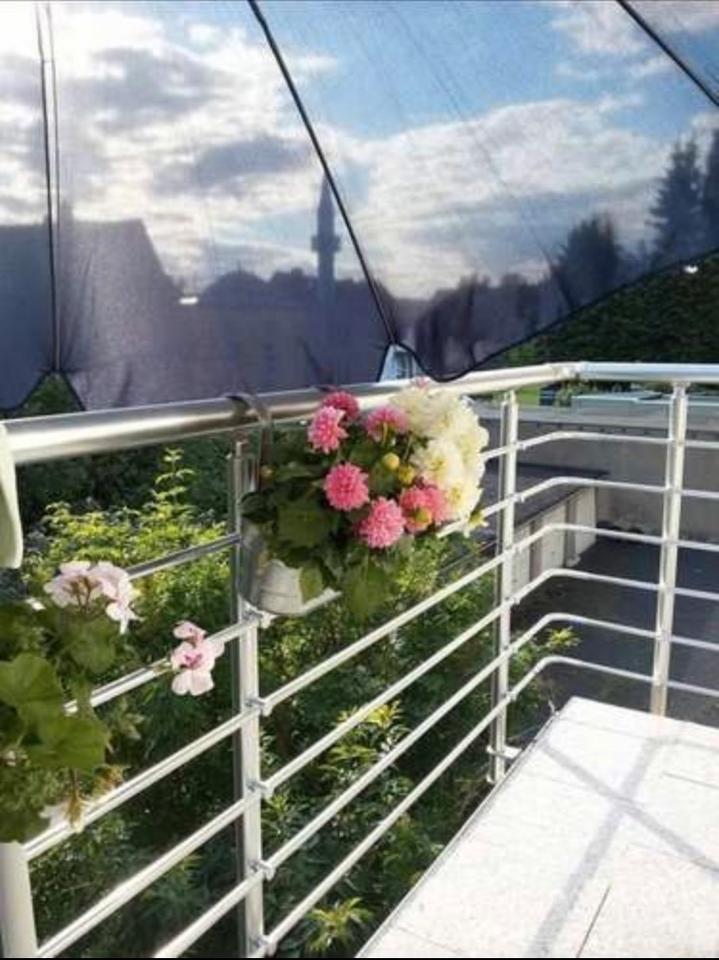 Thumbnail-Exklusive sanierte 60 m² zweieinhalb Zimmerwohnung mit Balkon in