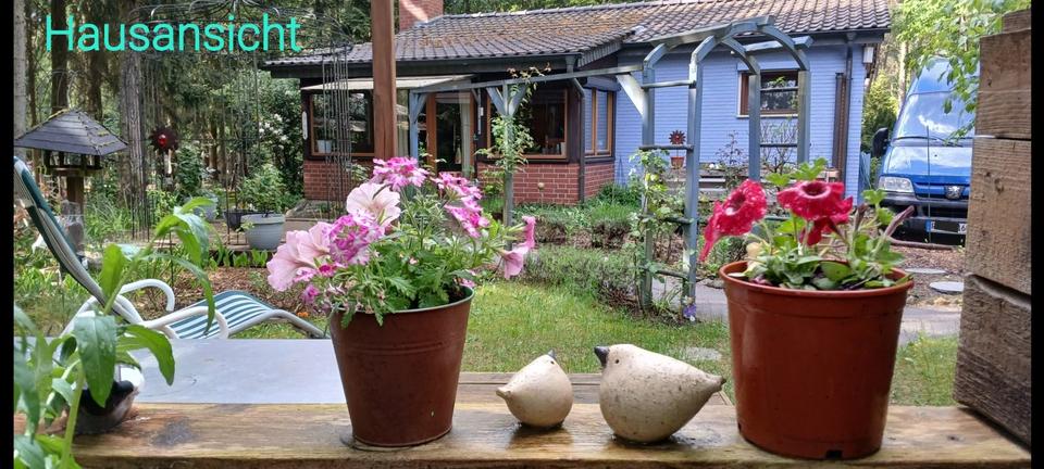 Thumbnail-Wohn-Ferienhaus Eigentumsland. Provisionsfrei