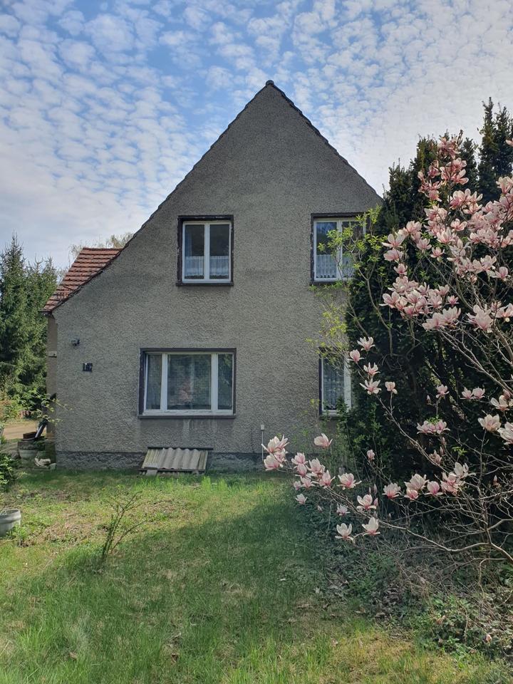 Thumbnail-Großes Wohnhaus mit Nebengebäuden,viel Grün,sehr ruhige Lage