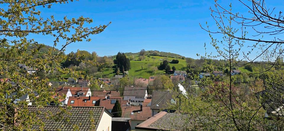 Thumbnail-Echtholzhaus mit wunderschönem Ausblick in Reutlingen-Bronnweiler