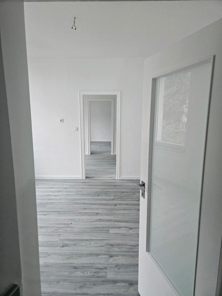 Thumbnail-Neu renovierte Flügelwohnung in Krefeld ab sofort zu vermieten
