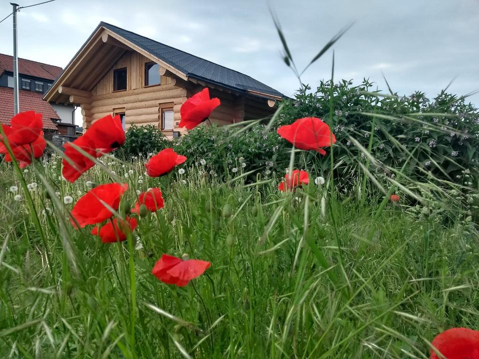 Thumbnail-Wohnhaus Naturstammhaus Vadenrod Baujahr 2021