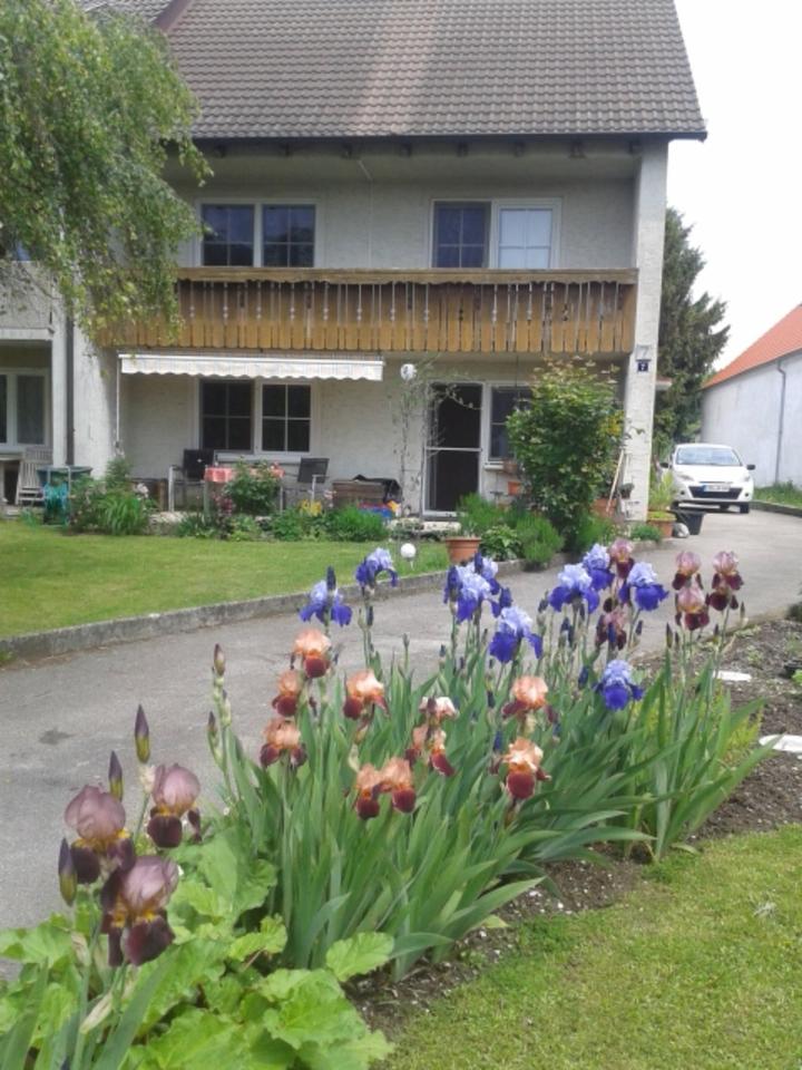 Thumbnail-biete gemütliches WG Zimmer