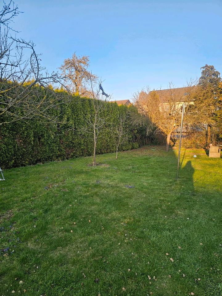 Thumbnail-Baugründstuck für Doppelhaus mit EFH in Elsen zu verkaufen