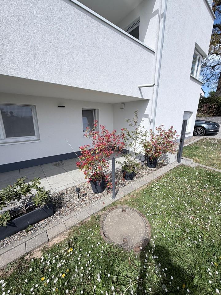 Thumbnail-Wohnung 2-3 Zimmer Brasselsberg Kassel zu vermieten ab 01.09