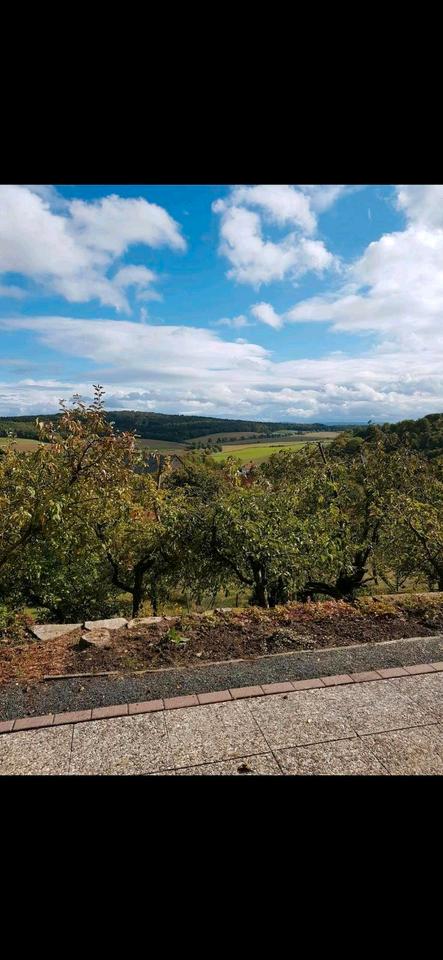 Thumbnail-Wohnung zu vermieten