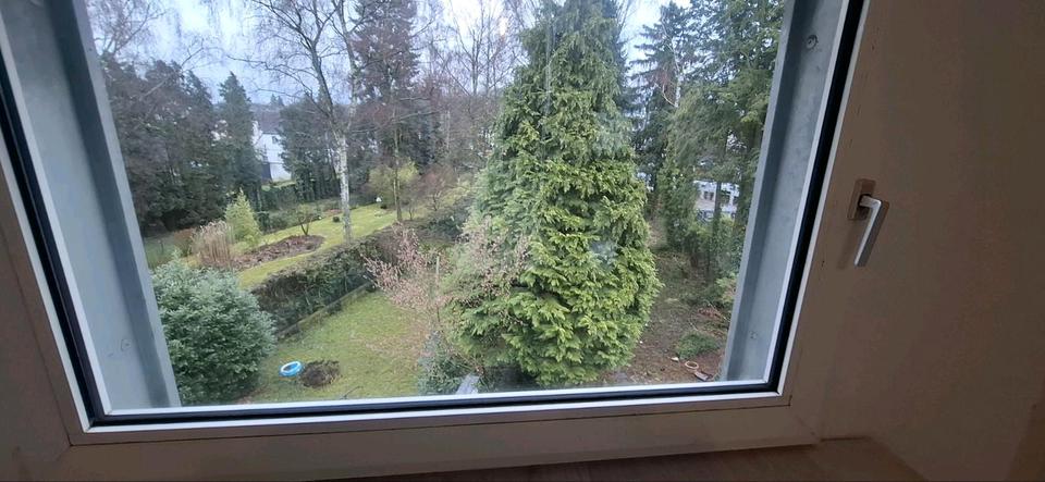 Thumbnail-3-Zimmer DG Wohnung zu vermieten