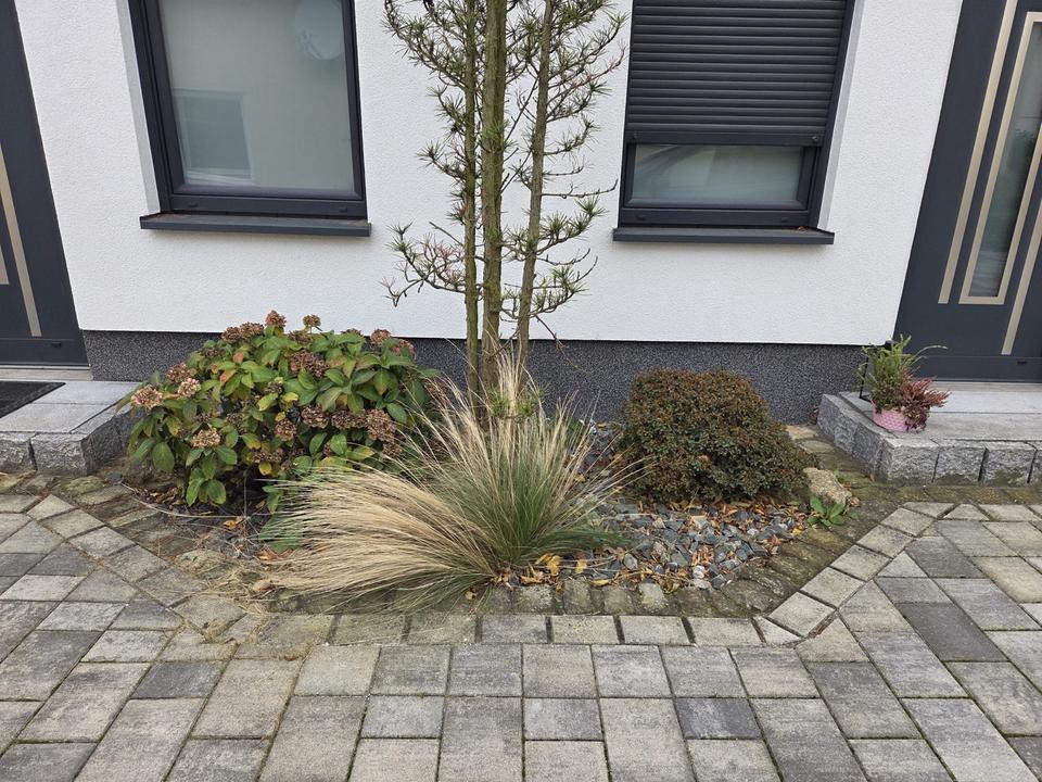 Thumbnail-Doppelhaushälfte im Herzen von MEINERSEN zu vermieten