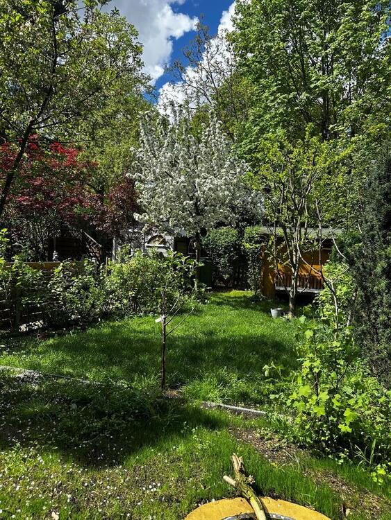 Thumbnail-Denkmalgeschütztes Reihenhaus–voll saniert, Garten & Auspotenzial