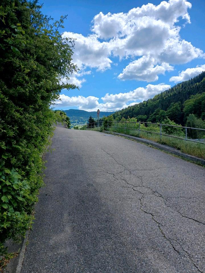 Thumbnail-1 Zimmer Wohnung Bad herrenalb.