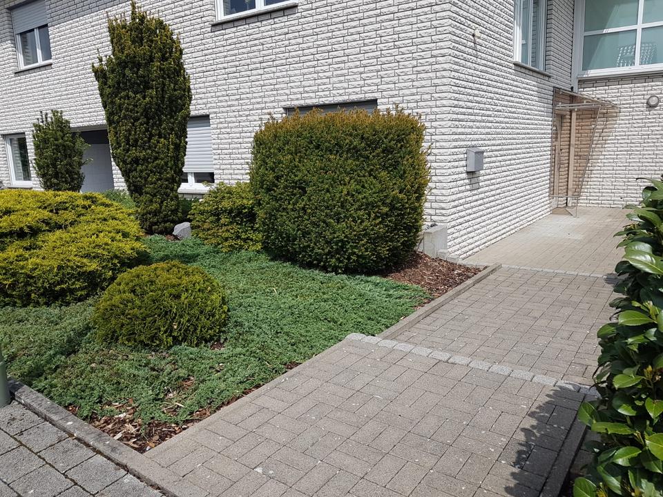 Thumbnail-Ruhige Zweizimmerwohnung 60m² in Büren ab 01.08.26 für 1-2 Pers.