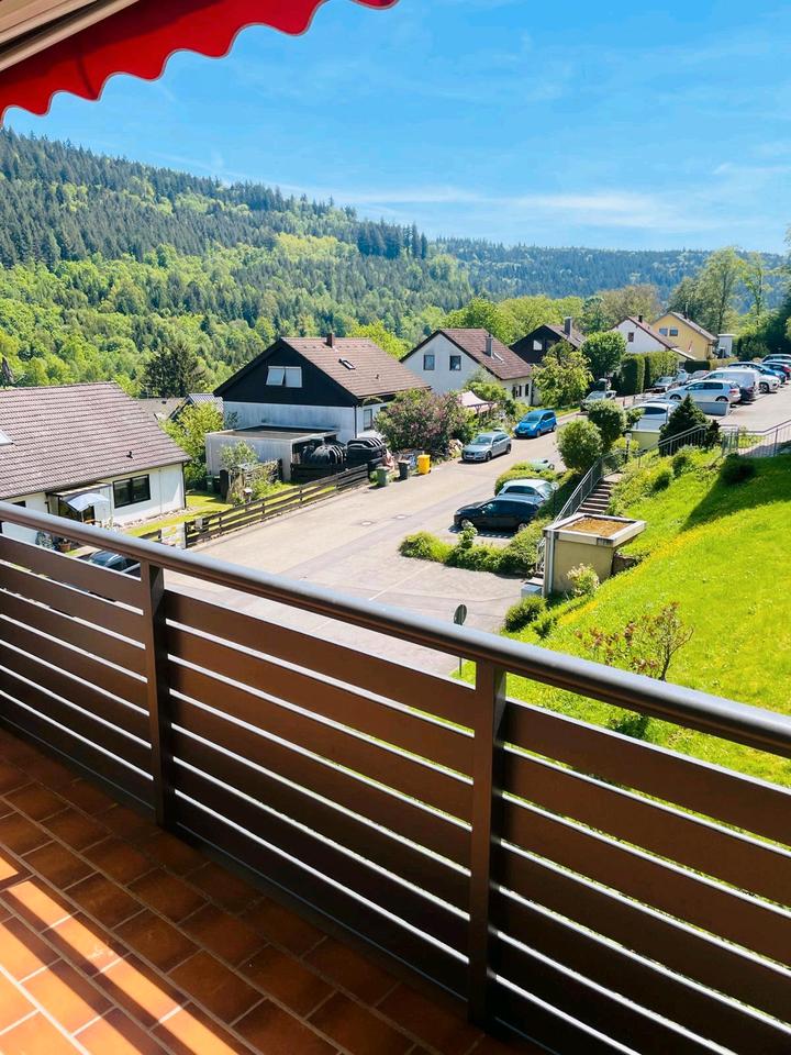 Thumbnail-Mini Penthouse 1,5 ZKB Balkon Einbauküche Stellplatz Aussicht Bad