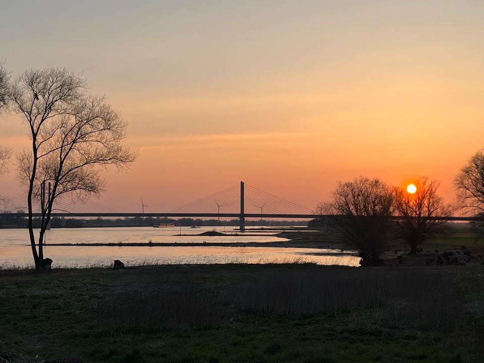 Thumbnail-Ferienwohnung - Eine Auszeit am Rhein
