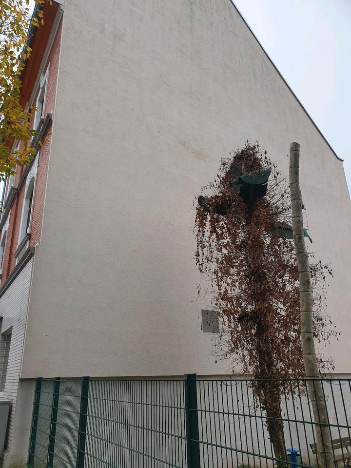 Thumbnail-Haus Top Lage, Zentral mit Garagen, Hallen, ideal für Gewerbe