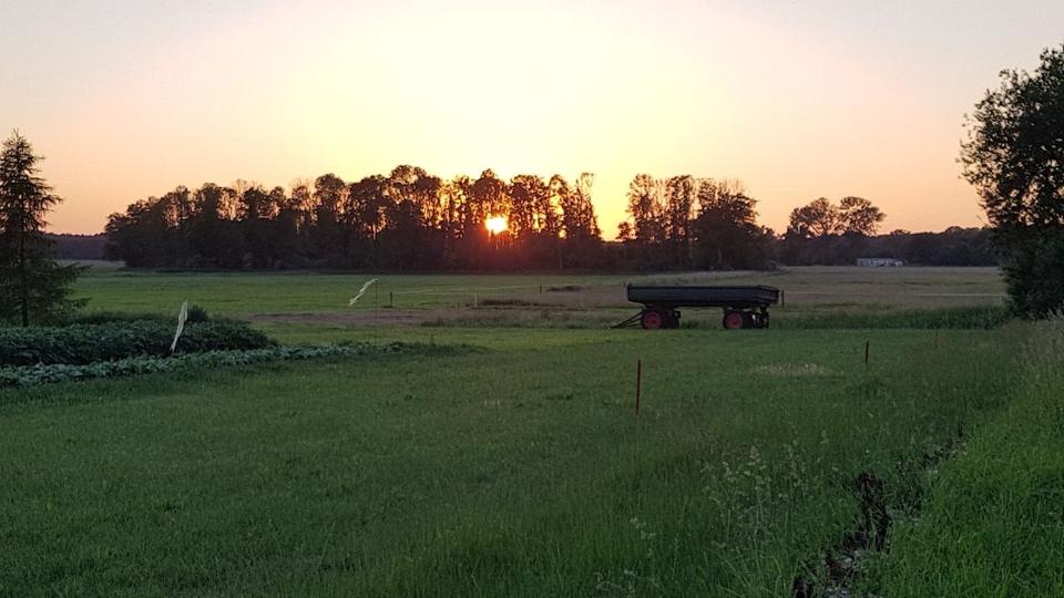 Thumbnail-Kleine Ferienanlage mit großem Grundstück in ruhiger Lage