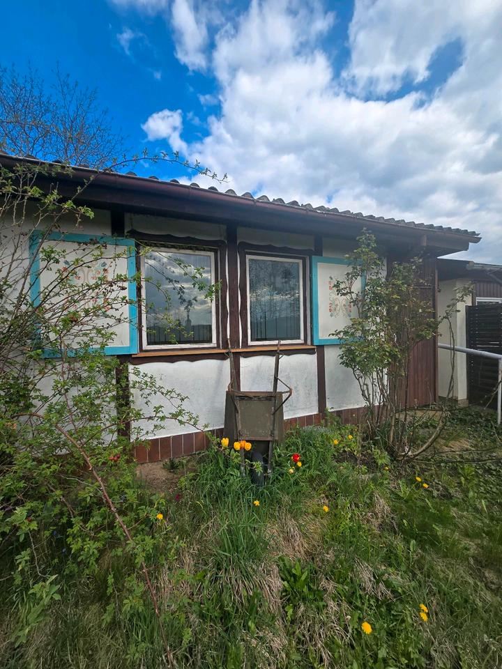 Thumbnail-Kleingarten in 01809 Dohna