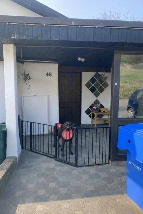 Thumbnail-4-Zi Whg mit Garten & 2 Balkonen – ruhig, naturnah