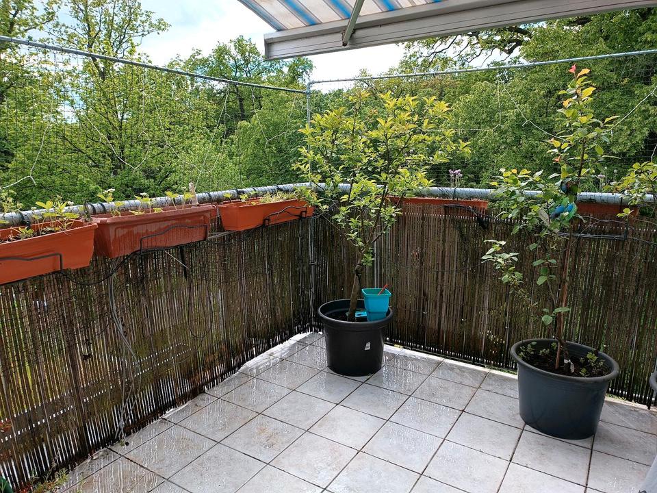 Thumbnail-Traumwohnung im grünen mit großer Terrasse