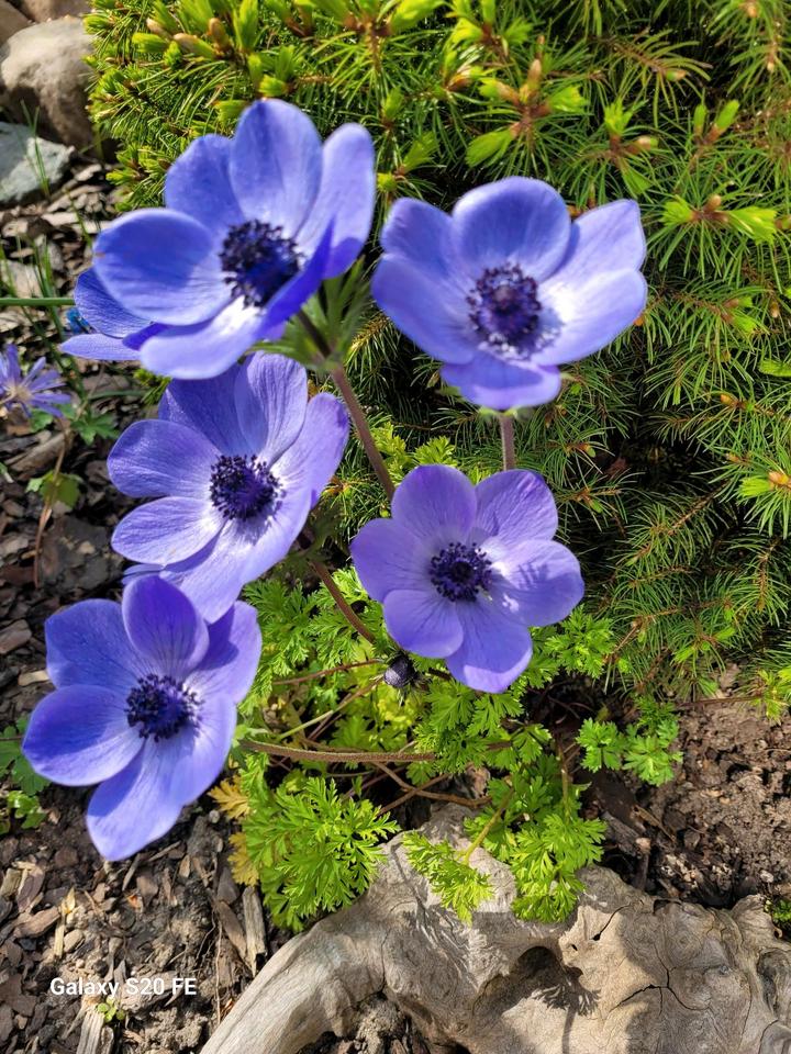 Thumbnail-Ein Haus zum Ankommen und Verlieben!