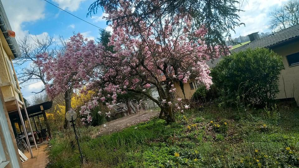 Thumbnail-Schöne nette 2 Zi. Wohnung in Lustnau, nähe Wilhelmstraße