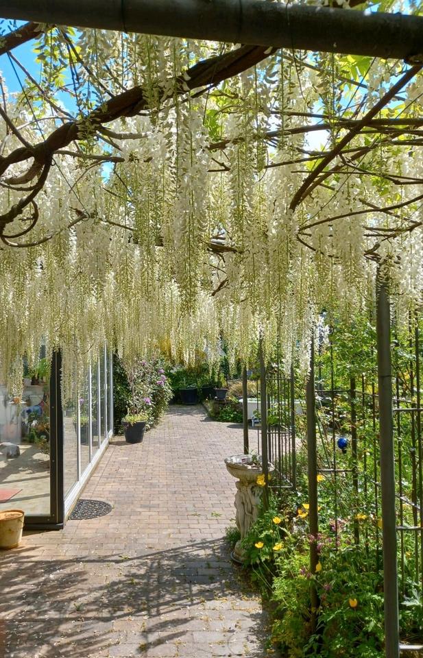 Thumbnail-Grüne Oase mit toller Infrastruktur