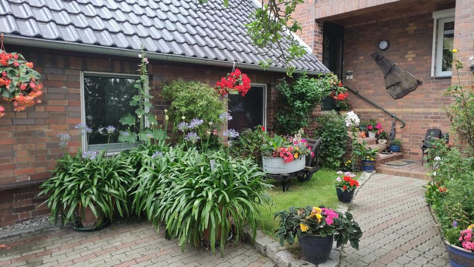 Thumbnail-Kleine, ruhige Fereinwohnung im Seebad Bansin