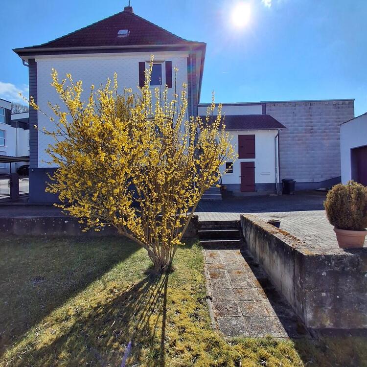 Thumbnail-Doppelhaushälfte in Neu-Anspach, gr. Grundstück + 2 Garagen