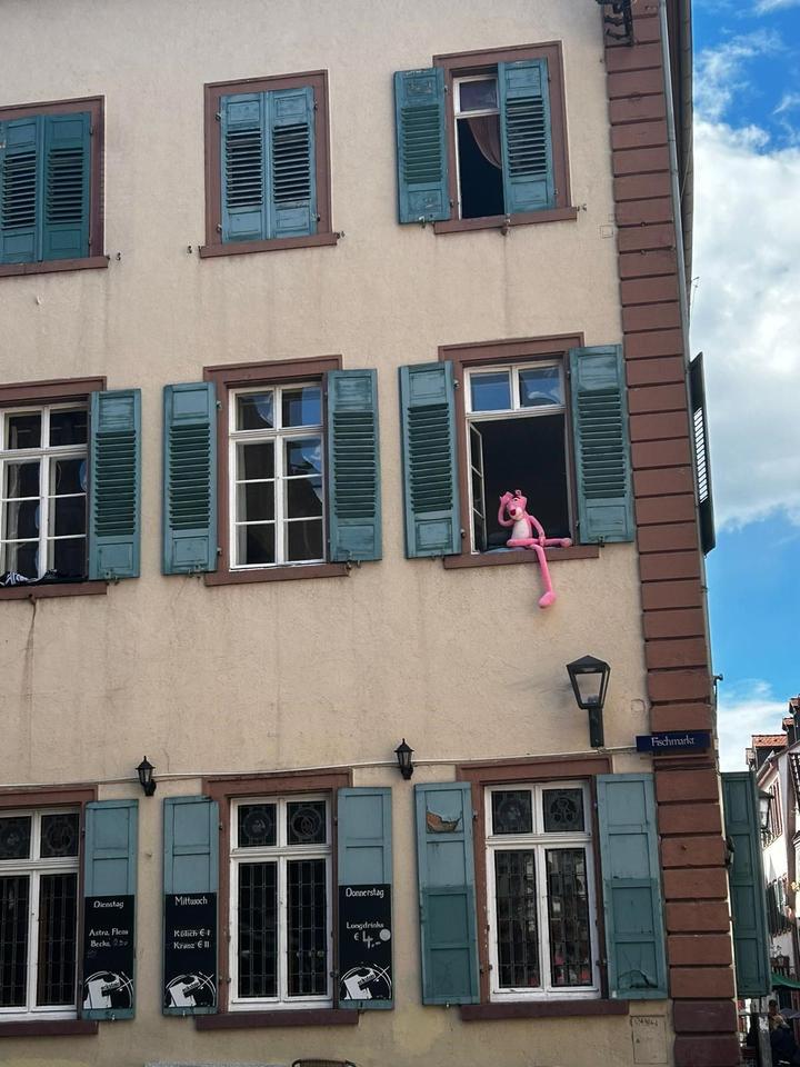 Thumbnail-Moderne 3-Zimmer-Wohnung mit Garten in Georgsmarienhütte