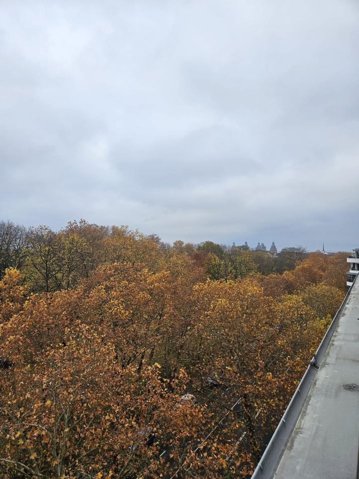 Thumbnail-3-Zimmer Wohnung im Herzen von Aschaffenburg zu Vermieten
