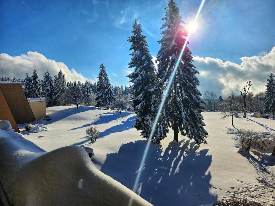 Thumbnail-Wunderschöne Wohnung im Bayrischen Wald!! Tolle Ausstattung