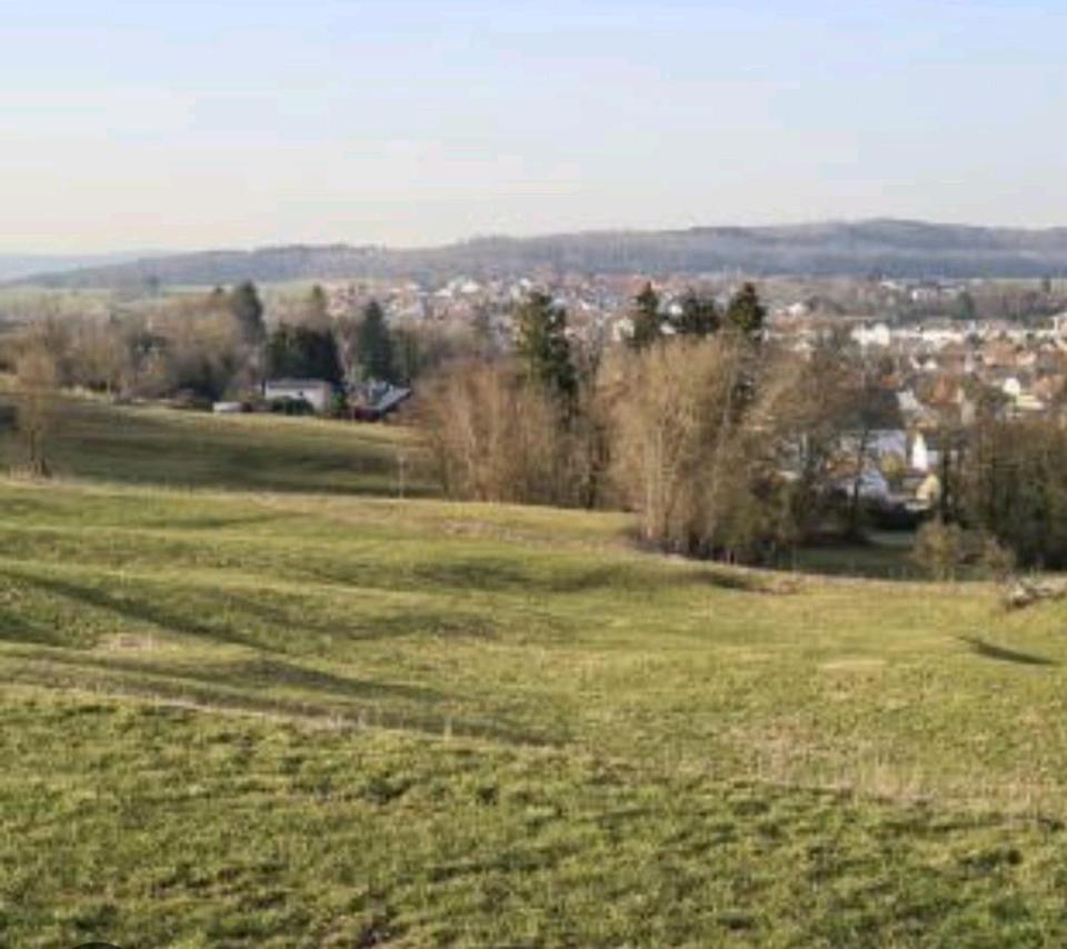 Thumbnail-Einfamilienhaus mit großem Gartengrundstück
