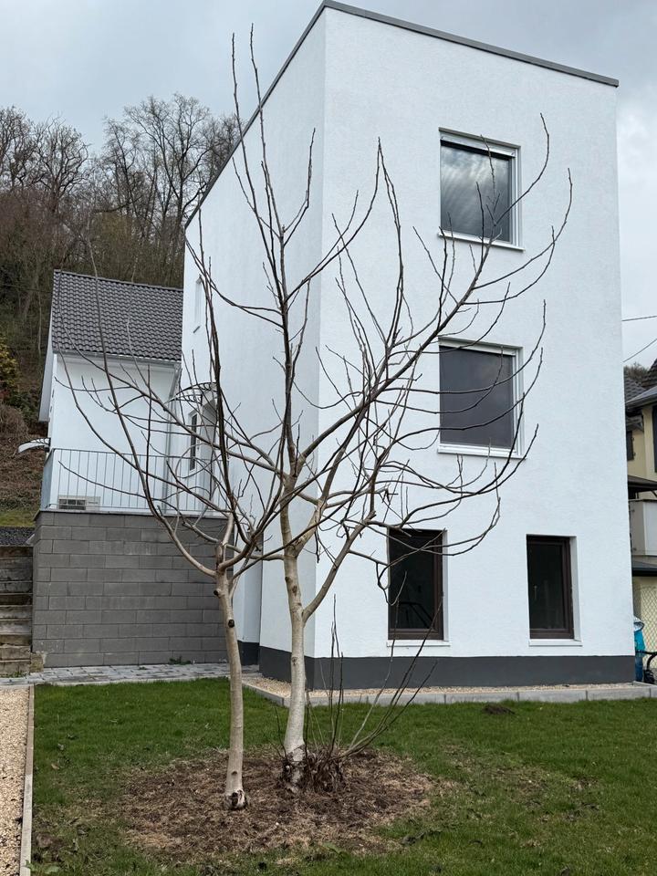 Thumbnail-Bezug nach Sanierung: Moderne 2-Zimmer-Küche-Bad-Wohnung in Oberb