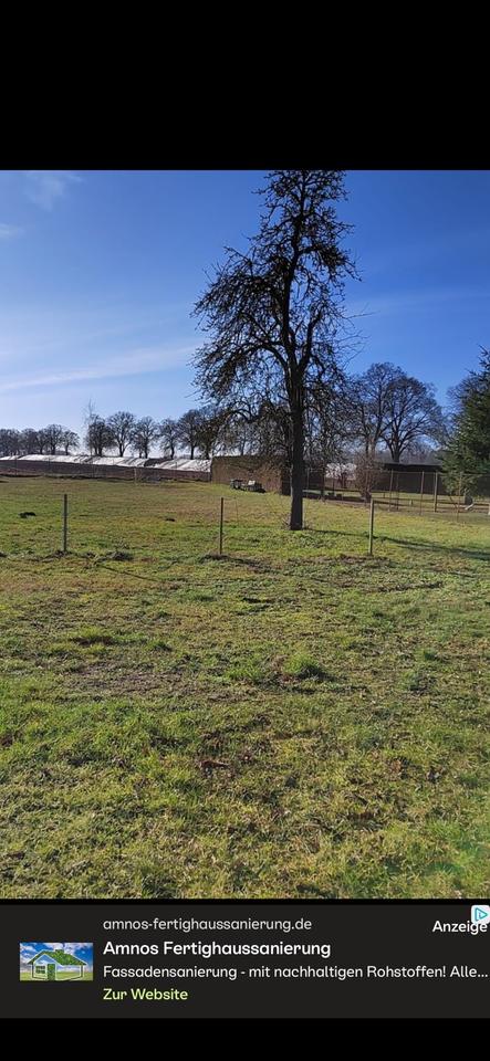 Thumbnail-EFH in ruhiger Umgebung san. bed.