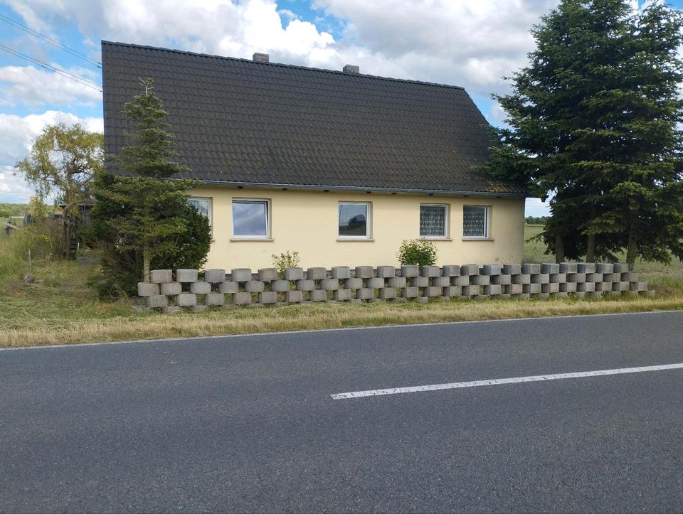 Thumbnail-Freistehendes Haus bei Annaburg