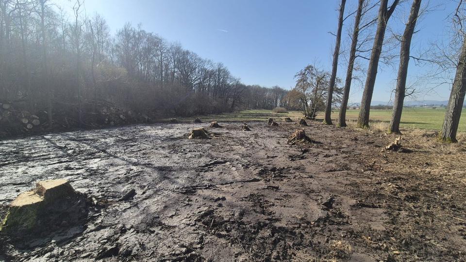 Thumbnail-GRUNDSTÜCK IM Naturschutzgebiet